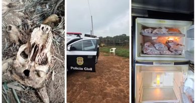 Polícia encontra carne sem procedência e 'cemitério' de animais em sítio de Conchal (SP) — Foto: Polícia Civil