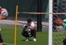 Lesley acompanha os passos da seleção brasileira na Copa do Mundo — Foto: Reprodução/EPTV